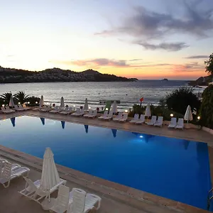 book here