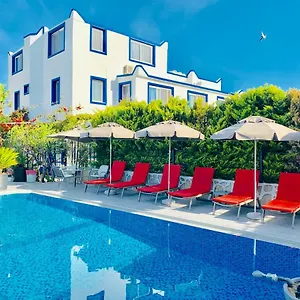 book here